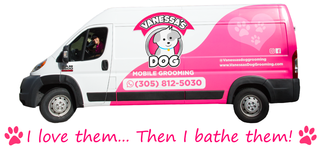 banner for Vanessas Dog Grooming